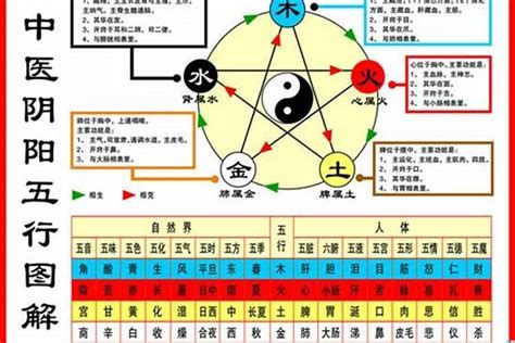 1984年生肖五行|1984年属鼠五行属什么，84年属鼠人一生运势